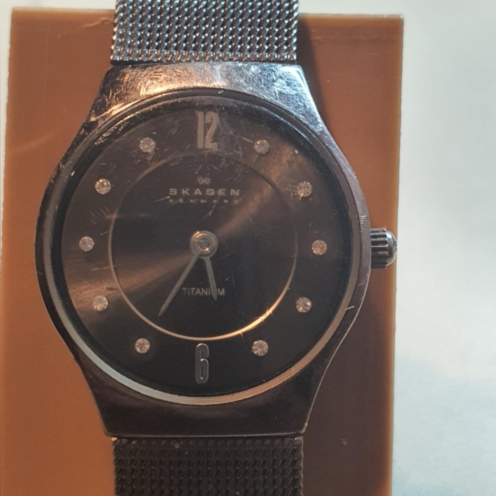 🦋10/$20🦋 Skagen Titanium Silver Mesh Women's Watch